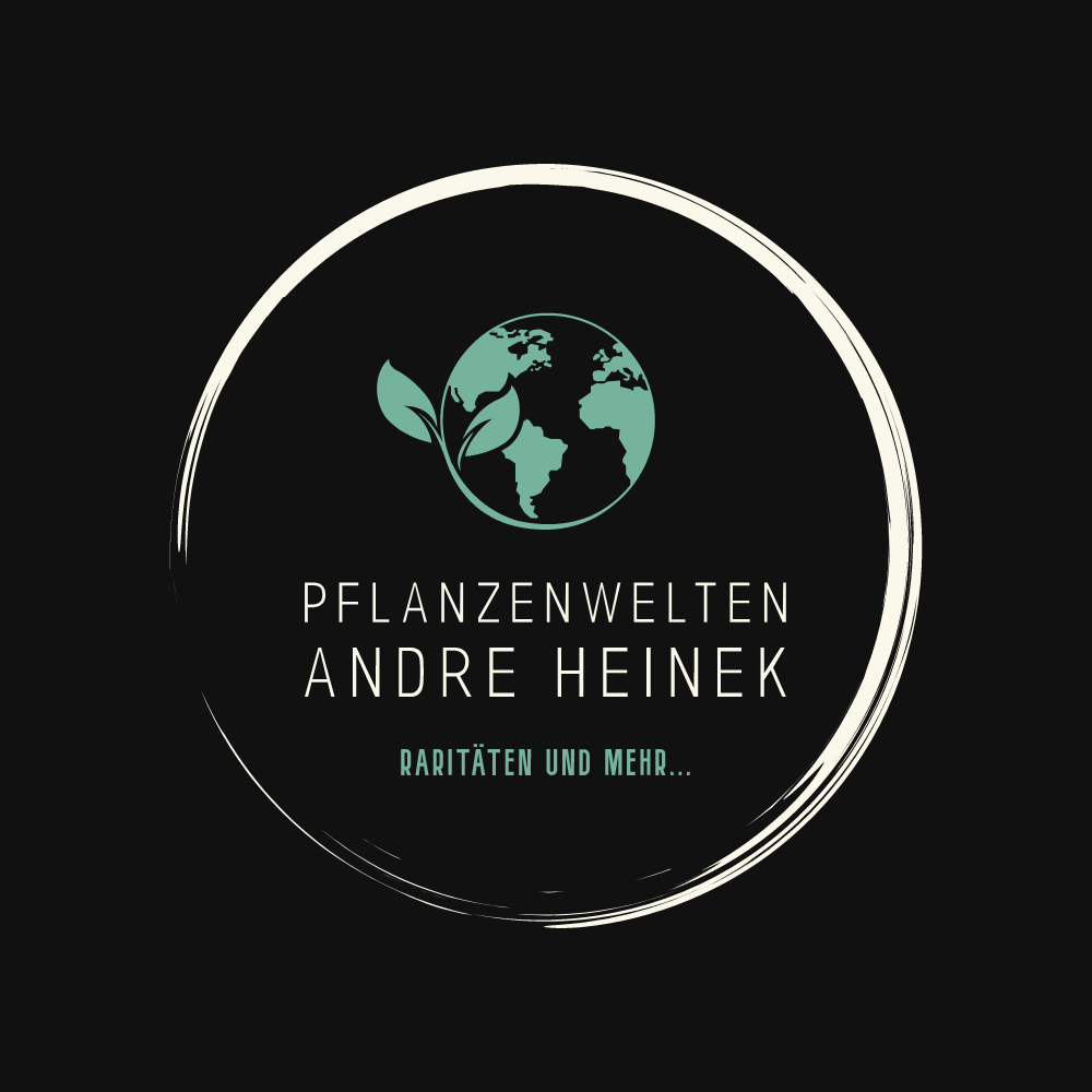 Die Pflanzenwelten werden vier Jahre alt! Ein kleines Rabatt-Geschenk für dich