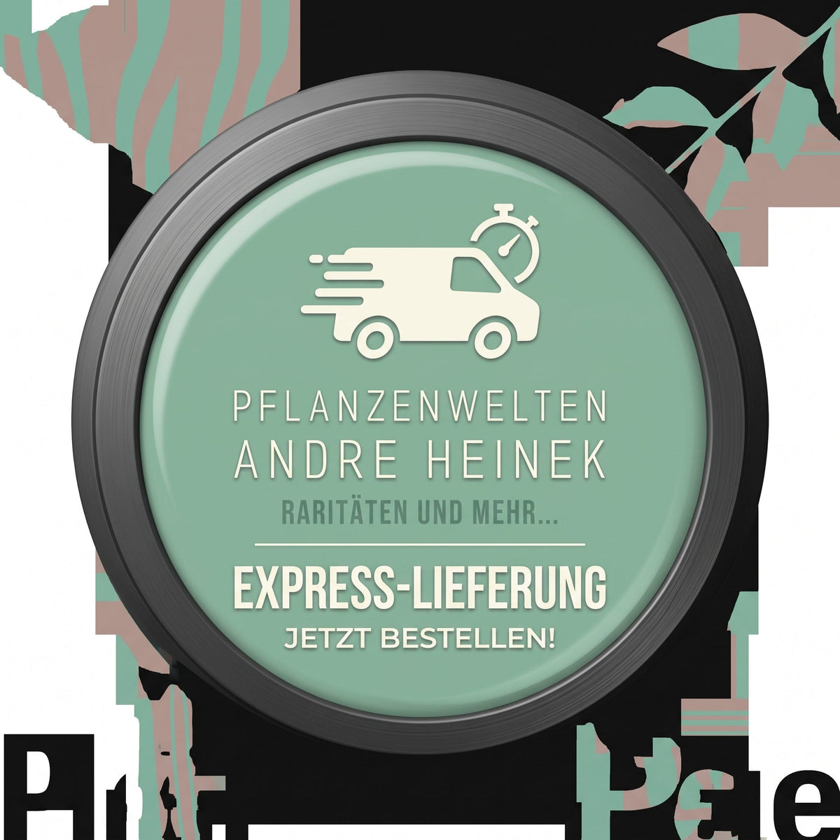 Exklusive Neuigkeiten: Die neue Expresslieferung für deine Pflanzen