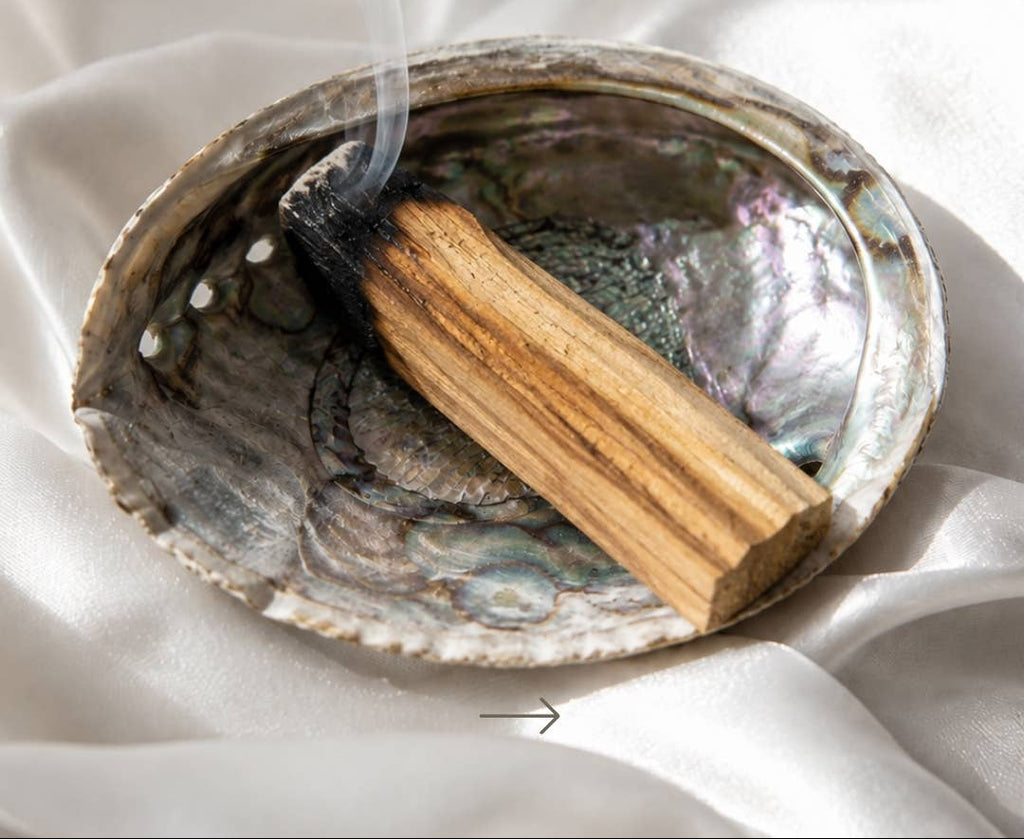 abalone muschel natur schale räuchern