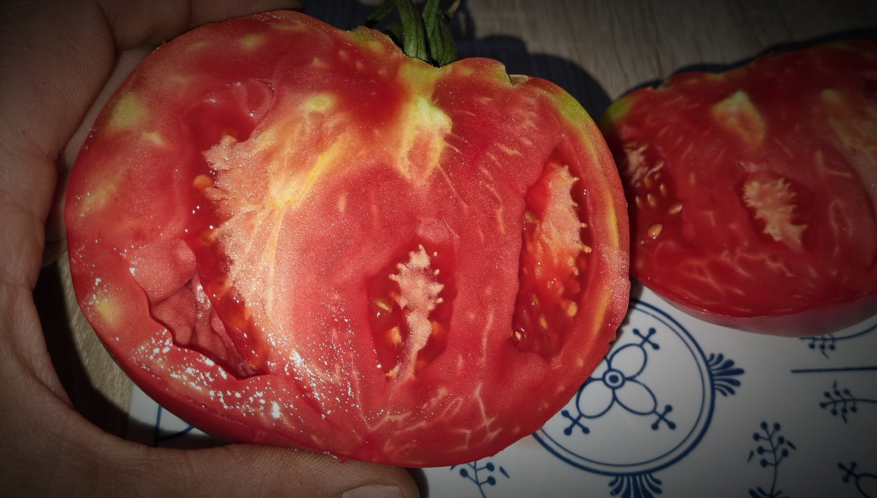 tomate bulgarisches ochsenherz