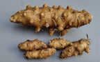 Anredera cordifolia Madeirawein Basellkartoffel Knollen