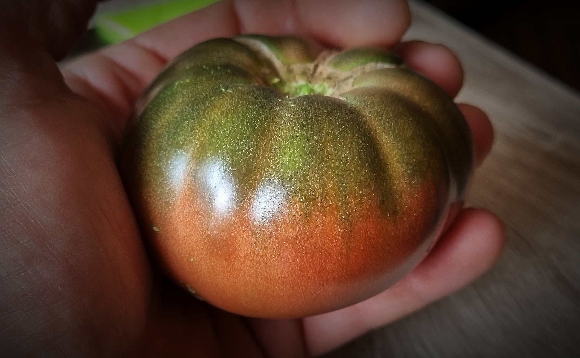 Tomate Tschernij Prinz Black Prince