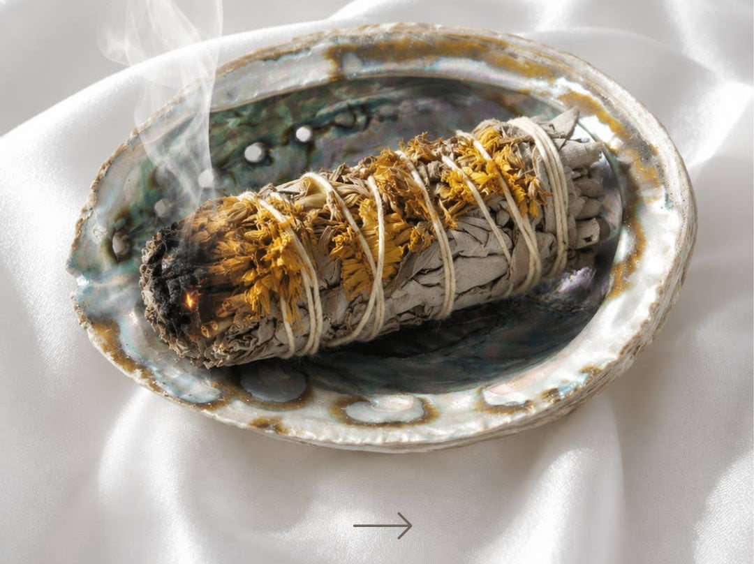 abalone muschel natur schale räuchern