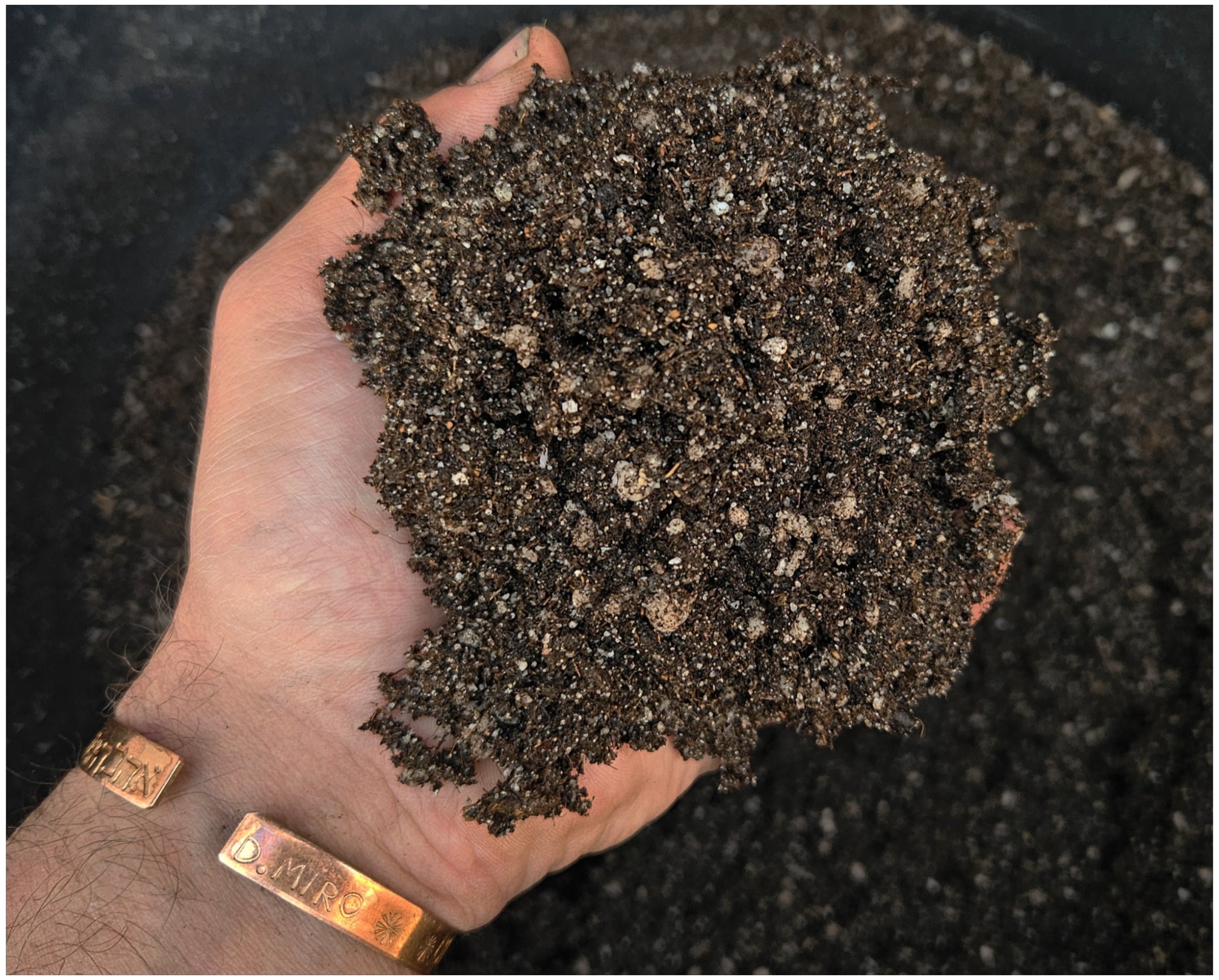 Spezialsubstrat für Fleischfressende flanzen Karnivoren