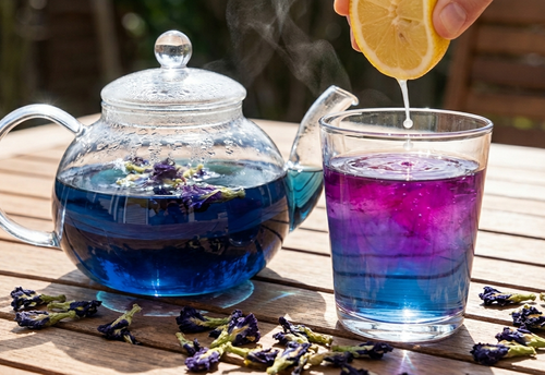 Blaue Klitorie (Clitoria ternatea) - Der magische Butterfly Pea Tea