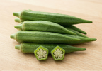 okra abelmoschus sculentus
