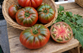 Tomate RAF