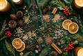 Adventskalender "Pflanzenwelten 2026" - Lass deinen Garten strahlen - Wähle aus zwei Sortimenten