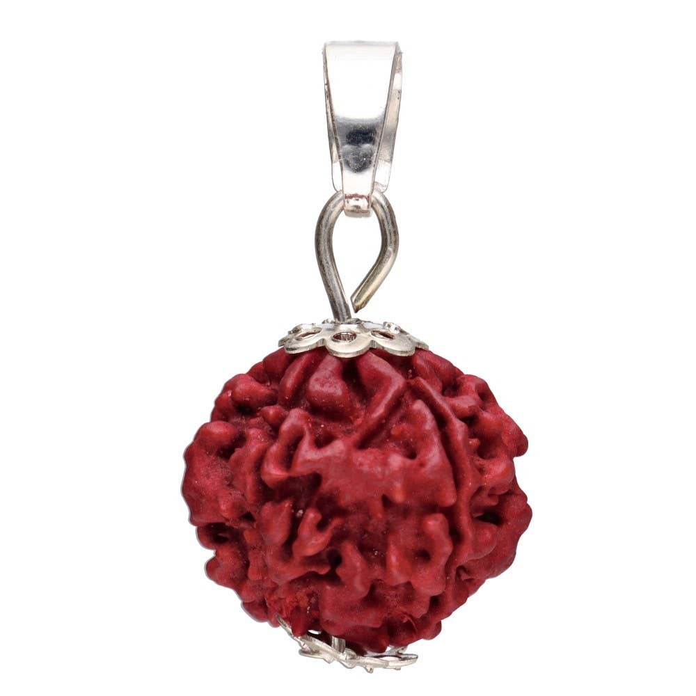 anhänger rudraksha elaeocarpus ganitrus samen tränen shivas silber schmuck