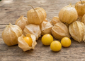 Ananaskirsche Physalis pruinosa 